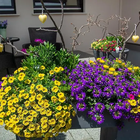 Apartment Ferien - I.d. Nordstadt